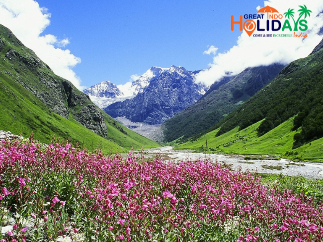 Valley of flower uttarakhand