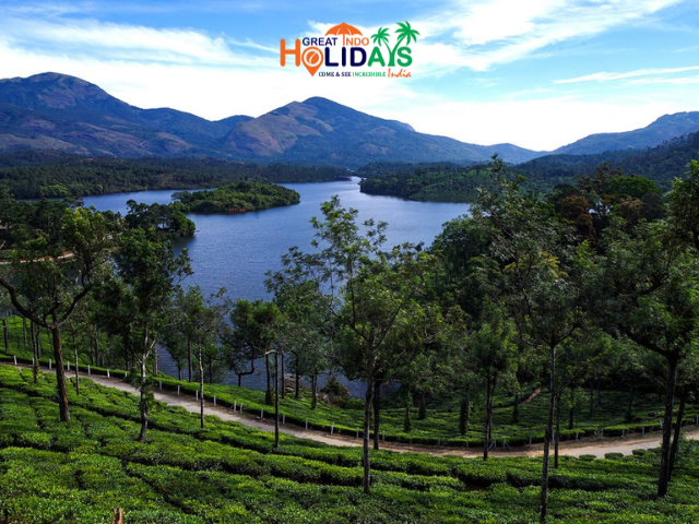 Website Image1 640x480 (20)