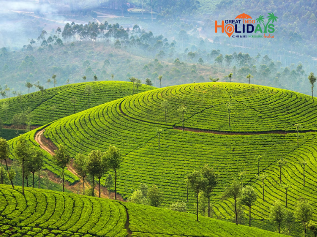 Website Image1 640x480 (24) Website Image1 640x480 (24)