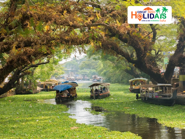 Website Image1 640x480 (26) Website Image1 640x480 (26)