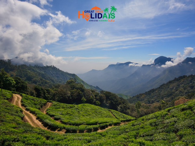 Website Image1 640x480 (28)